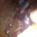 IMG 20210112 WA0005 2