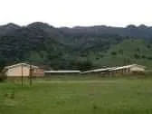 IMG 20210129 WA0130