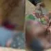 Img 1610983699160