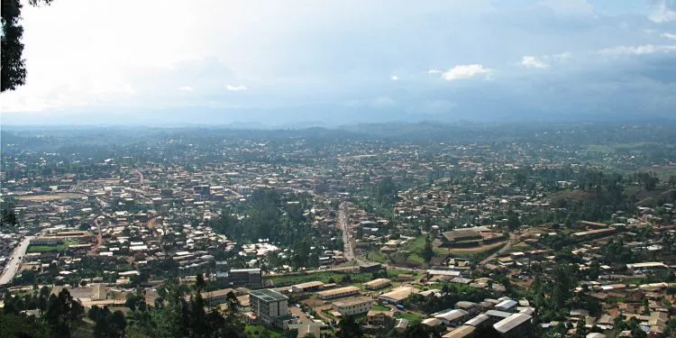 Bamenda From Mountain Road