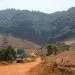 Mount Oku