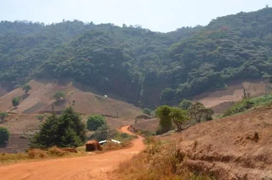Mount Oku