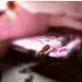 IMG 20210329 WA0033
