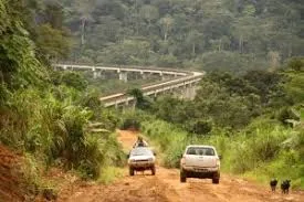 Images 1