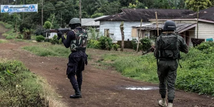 L'armée camerounaise en plein ratissage, à Bamenda