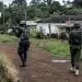 L'armée camerounaise en plein ratissage, à Bamenda