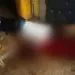 PointBlur Apr192021 071653