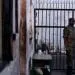 Prison au Cameroun