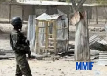 lutte contre Boko Haram à l'estrême Nord Cameroun