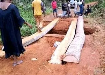 Route Kribi-Ebolowa