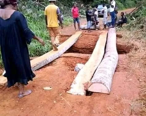 Route Kribi-Ebolowa