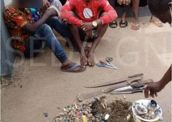 08 traficants de stupéfiants dont un élève arrêtés à Yaoundé