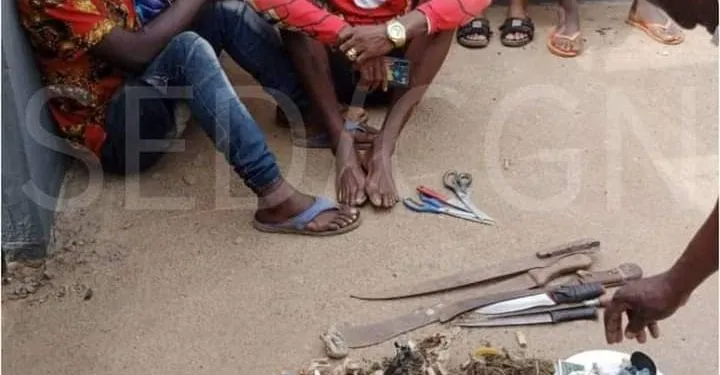 08 traficants de stupéfiants dont un élève arrêtés à Yaoundé