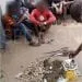 08 traficants de stupéfiants dont un élève arrêtés à Yaoundé