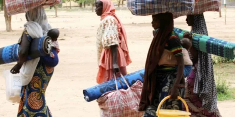 320 mille déplacés désormais à l'extrême Nord Cameroun