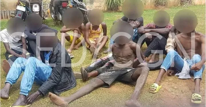 Un redoutable gang de 11 malfrats dont 02 femmes arrêté