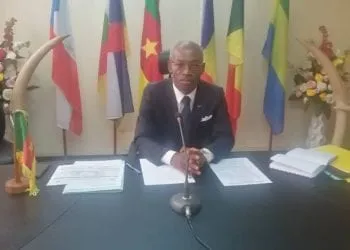 Commission des forêts d'Afrique centrale : Les défis du Cameroun au secrétariat exécutif