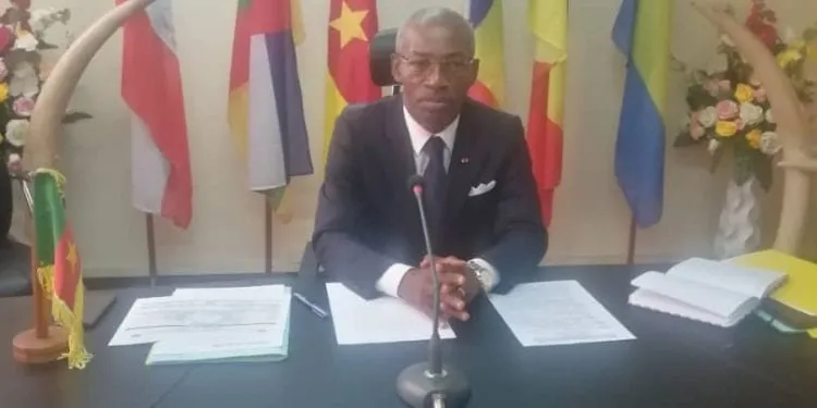 Commission des forêts d'Afrique centrale : Les défis du Cameroun au secrétariat exécutif