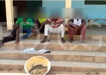 03 dealers de chanvre Indien arrêtés à Garoua