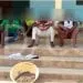 03 dealers de chanvre Indien arrêtés à Garoua