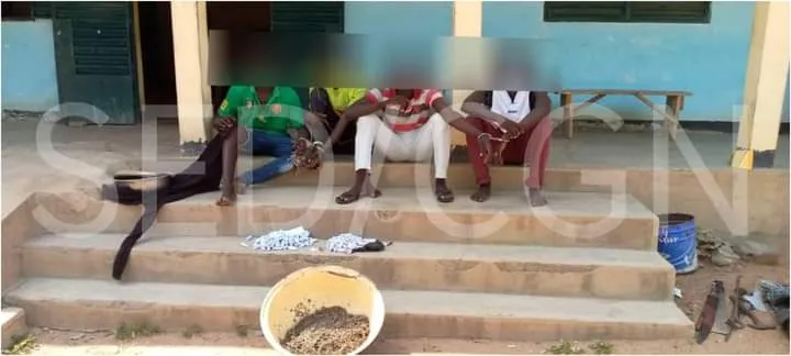 03 dealers de chanvre Indien arrêtés à Garoua