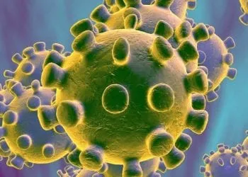 Coronavirus 
