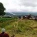 IMG 20210517 WA0020