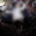 PointBlur May312021 121209