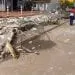 Ebolowa: Un mur des brasseries s'effondre et tue une élève