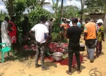 Les populations de Kribi bloquent la mise en service d'une plantation d'hevecam