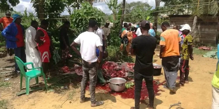 Les populations de Kribi bloquent la mise en service d'une plantation d'hevecam