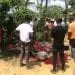Les populations de Kribi bloquent la mise en service d'une plantation d'hevecam