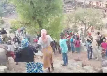 Les populations s'insurgent contre Boko Haram dans l'extrême nord du Cameroun