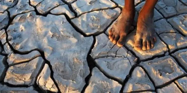 Afrique Changement Climatique