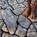 Afrique Changement Climatique