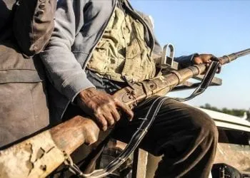 Lutte contre Boko Haram dans l'extrême Nord du Cameroun