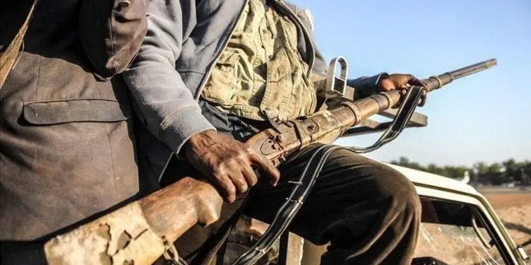 Lutte contre Boko Haram dans l'extrême Nord du Cameroun