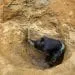 Un Mineur Cherche De L Or A Betare Oya Dans L Est Du Cameroun Le 4 Avril 2018 Jpg