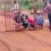 IMG 20210706 WA0067