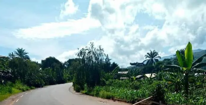 IMG 20210730 WA0053