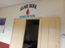 IMG 20210809 WA0010