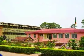 IMG 20210826 WA0021