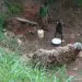 IMG 20210920 WA0107