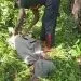 IMG 20210923 WA0062