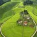 IMG 20210927 WA0022