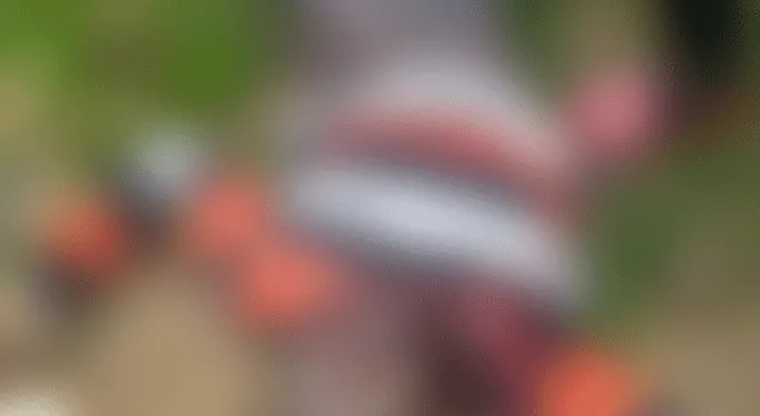 Polish 20210927 164728765