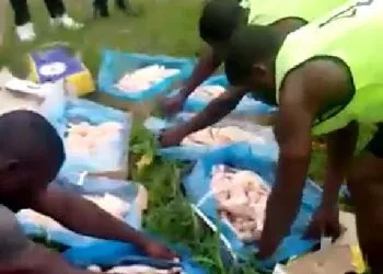 105 cartons de poulets congelés saisis à Campo