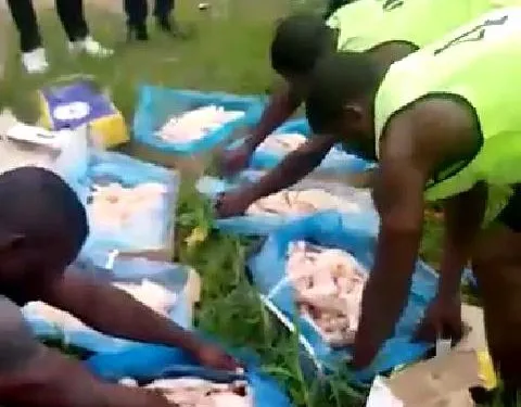 105 cartons de poulets congelés saisis à Campo