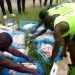 105 cartons de poulets congelés saisis à Campo