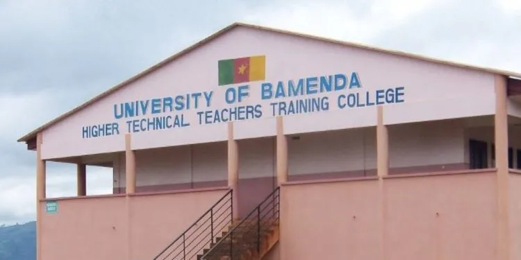 109999704 Universityofbamenda